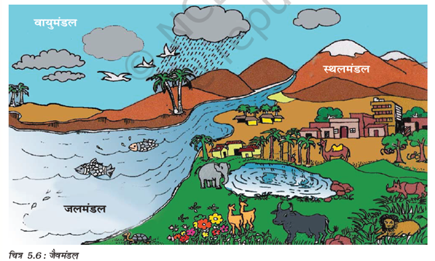 Chapter 5 MAJOR DOMAINS OF THE EARTH Quiz in english and hindi 
