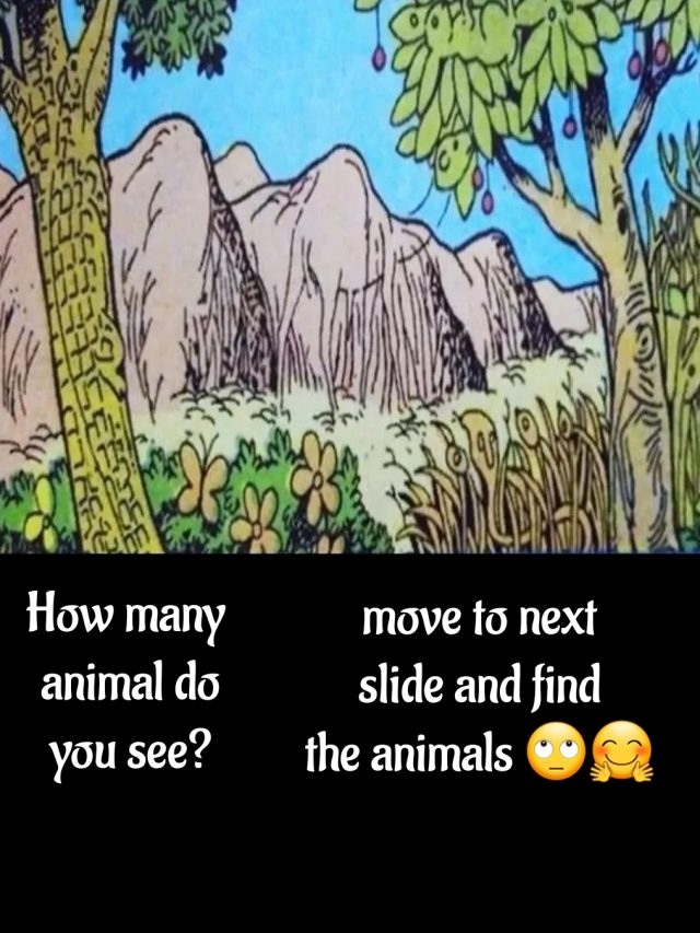 optical illusion puzzle 1c2
