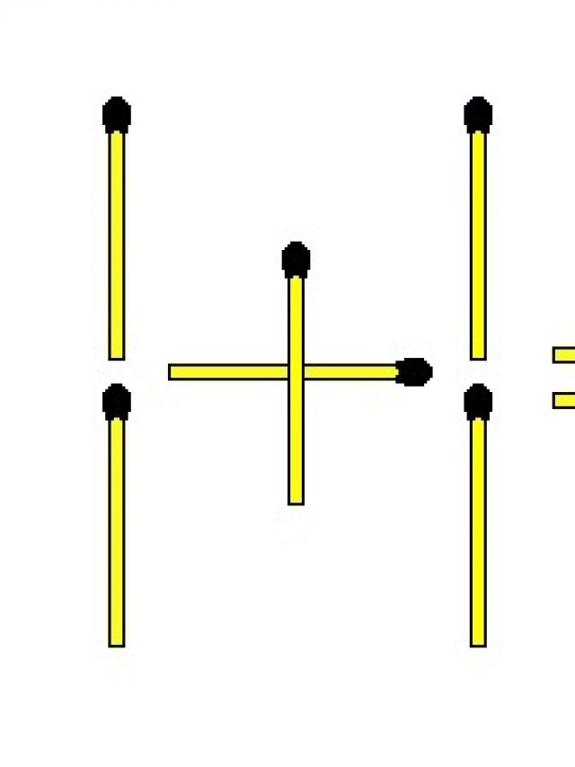 optical illusion puzzle B17C