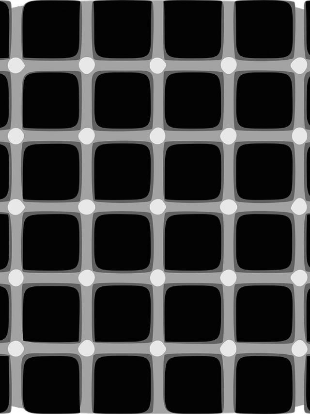 optical illusion puzzle A18AB