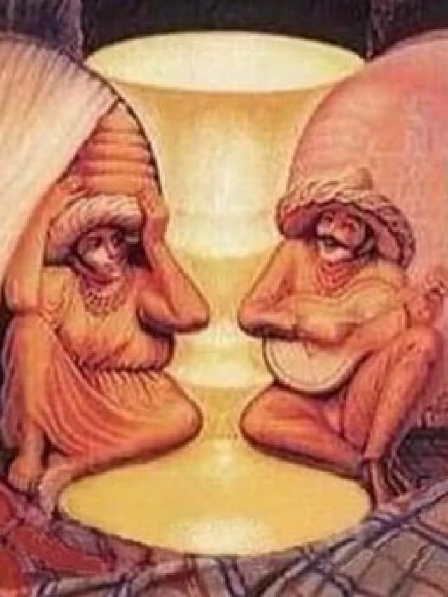 optical illusion puzzle 19 A