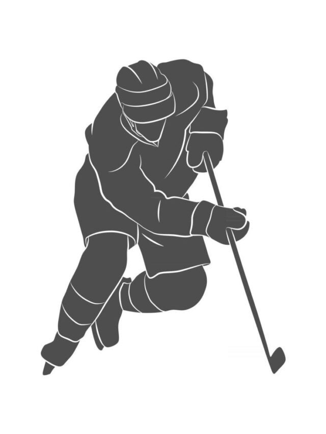 TOP 10 GREATEST HOCKEY PLAYERS IN INDIA